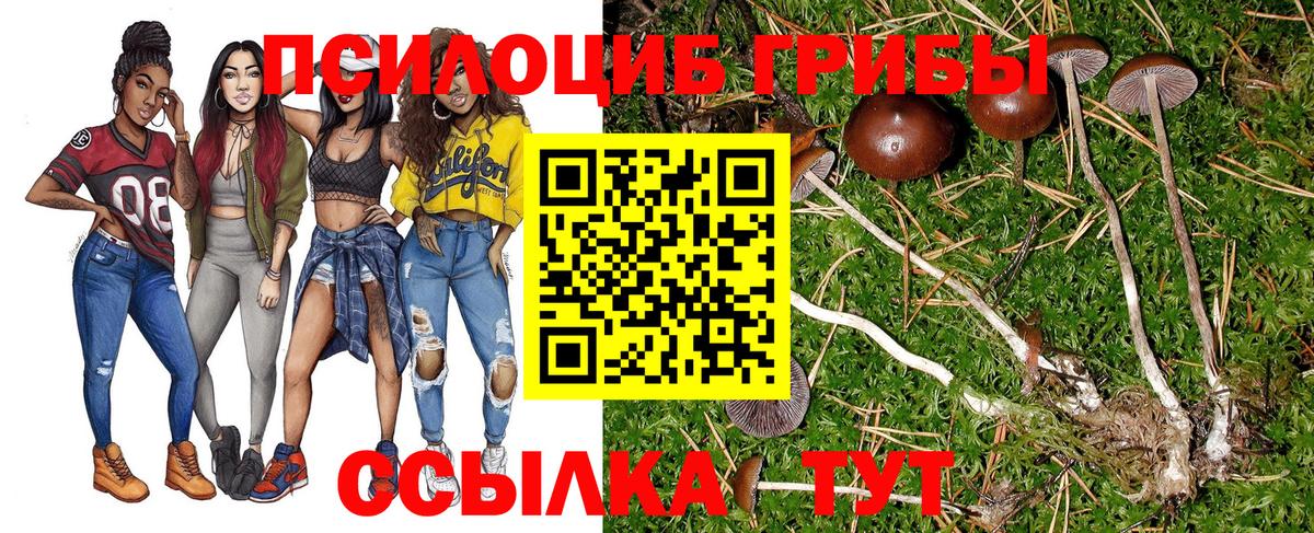 Псилоцибиновые грибы мухоморы  Галлюциногенные грибы MAGIC MUSHROOMS  Вход с VPN  Киржач 